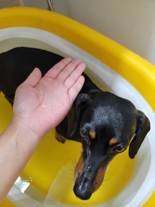 아로님이 올린 리뷰 사진 4