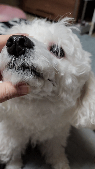 홍블리님이 올린 리뷰 사진 4