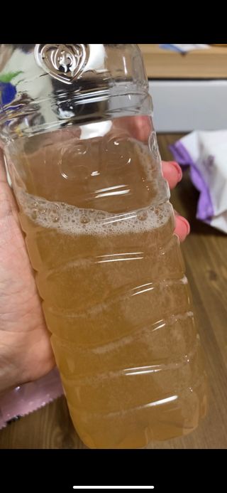 참앤들황토농원 7가지 맛! 탄산 톡톡! 스파클링! 데이앤 콤부차 7종 10포 1박스씩 ★총 7박스★ — 5점을 준 리뷰어가 2023년 3월 올린 사용 사진