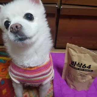 [보헤리] 국내산 강아지 육포간식 바삭 64 2종 — 4점을 준 리뷰어가 2022년 4월 올린 사용 사진