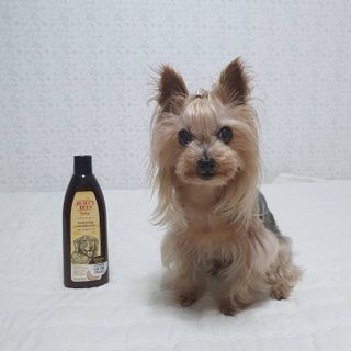 솜희님이 올린 리뷰 사진 1