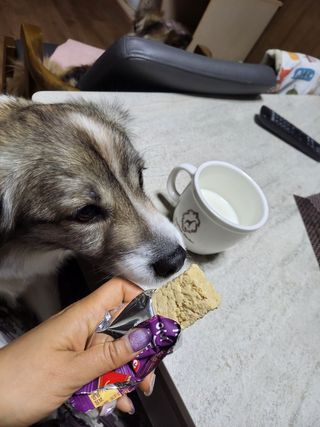 오둥이맘님이 올린 리뷰 사진 1