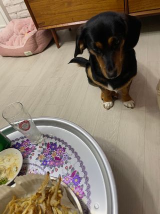 [오늘바스켓] 용대리 손질하늘태 130g — 5점을 준 리뷰어가 2021년 5월 올린 사용 사진