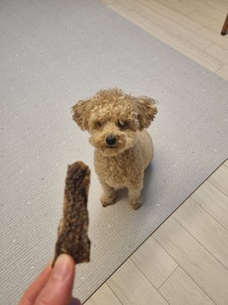 효효님이 올린 리뷰 사진 1