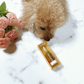 무지조타 반려동물용 꽃으로만든영양제 헬리코디펜스 15ml — 5점을 준 리뷰어가 2021년 8월 올린 사용 사진