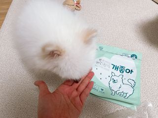 메리몽드님이 올린 리뷰 사진 2