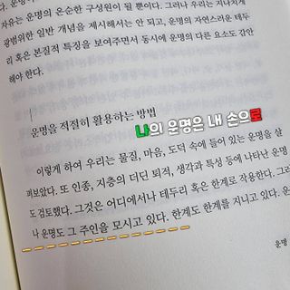 서핑홀릭이님이 올린 리뷰 사진 2