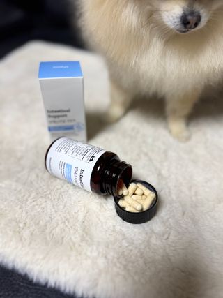 뽀야니님이 올린 리뷰 사진 2