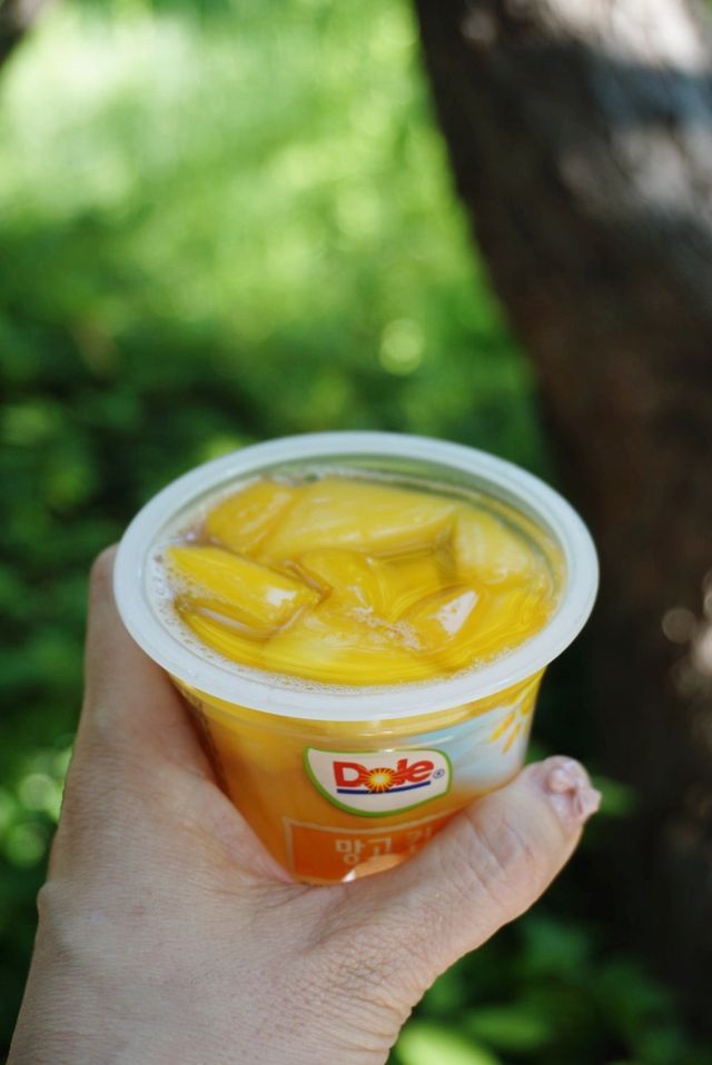 MF[Dole] 파인애플컵/망고컵/복숭아컵 198g 6입X1박스 (맛 1가지 랜덤 발송) 리뷰 사진