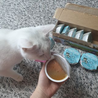 코코야옹님이 올린 리뷰 사진 2