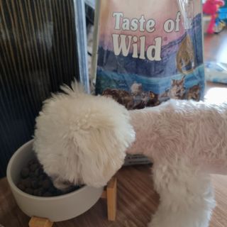 갓수진님이 올린 리뷰 사진 1