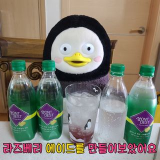몽베스트 Montbest with Sparkling water Lemon OR Lime 20병(랜덤) — 5점을 준 리뷰어가 2022년 8월 올린 사용 사진