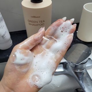 프리마인 더이상 뻣뻣하고 효과없는 탈모샴푸는 NO. 근본부터 케어하는 셀베이스 그린티샴푸(500ml) — 5점을 준 리뷰어가 2023년 3월 올린 사용 사진