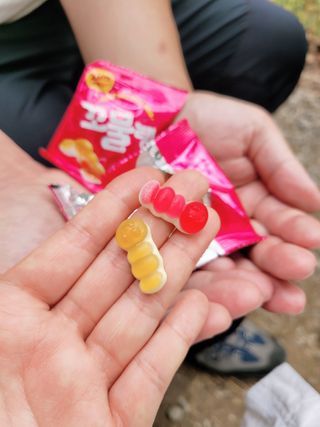 꼬물~탱글 우리 왕꿈틀이가 작아졌어요, 꼬물탱 — 5점을 준 리뷰어가 2021년 10월 올린 사용 사진