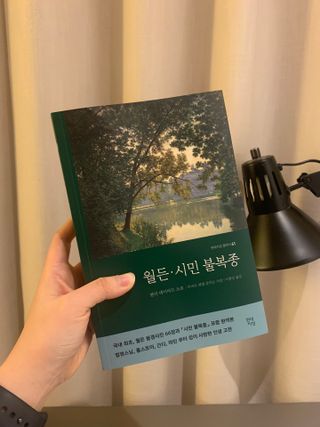 묘묘님이 올린 리뷰 사진 1