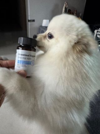 퓨리아님이 올린 리뷰 사진 1