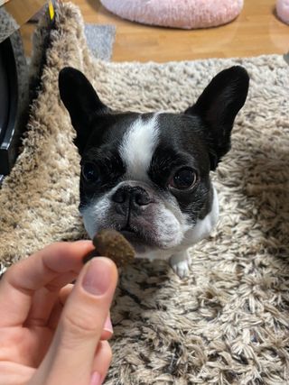 GraceCho님이 올린 리뷰 사진 1