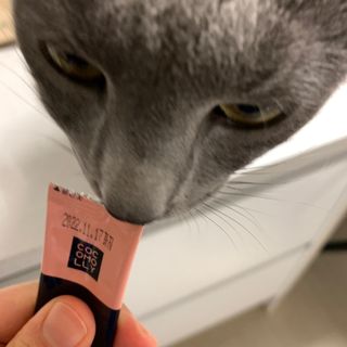 코코몰리 고양이 구강• 헤어볼 데일리 /신장• 요로 데일리 — 5점을 준 리뷰어가 2021년 1월 올린 사용 사진