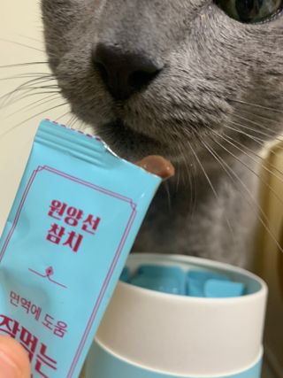 냥냥이님이 올린 리뷰 사진 4