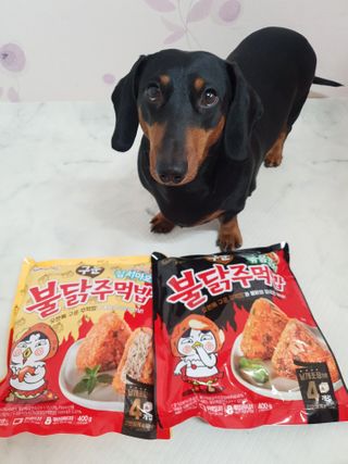 삼양냉동 [삼양] 불닭참치마요구운주먹밥+불닭볶음김치구운주먹밥 2세트구성 — 5점을 준 리뷰어가 2021년 2월 올린 사용 사진