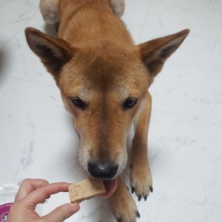 루비님이 올린 리뷰 사진 3