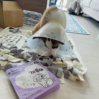 봉자맘님이 올린 리뷰 사진 3