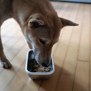 루비님이 올린 리뷰 사진 4