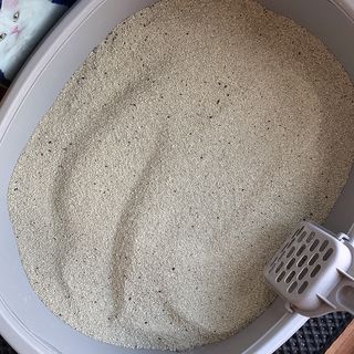 오잉님이 올린 리뷰 사진 3
