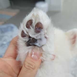 현이님이 올린 리뷰 사진 3