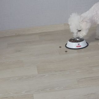 채원님이 올린 리뷰 사진 1