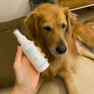 [댕모어 클리너 3종] 아이클리너 / 이어클리너 / 덴탈클리너 3종 세트 (120ml) — 5점을 준 리뷰어가 2023년 11월 올린 사용 사진