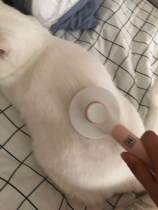 마요마요님이 올린 리뷰 사진 2