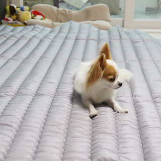 달슈님이 올린 리뷰 사진 3