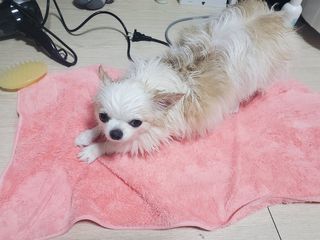 HeeMKwon님이 올린 리뷰 사진 1