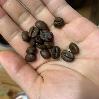 빙빙이님이 올린 리뷰 사진 1