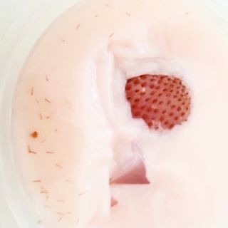 빠다님이 올린 리뷰 사진 3
