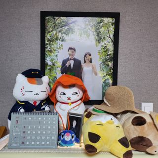 부우기님이 올린 리뷰 사진 2