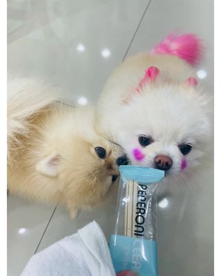 순이츠님이 올린 리뷰 사진 2