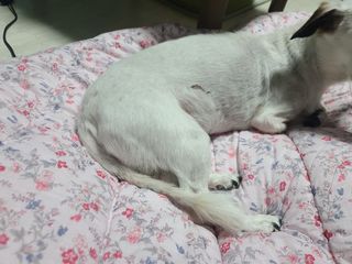 kailee님이 올린 리뷰 사진 4