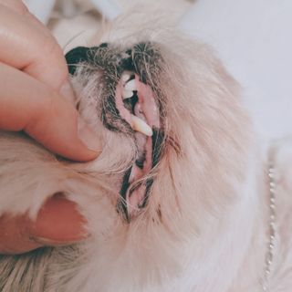 clarawon님이 올린 리뷰 사진 2