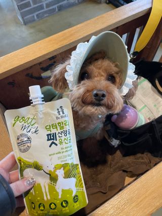 harumom님이 올린 리뷰 사진 2