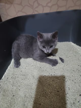 서빵맘님이 올린 리뷰 사진 1