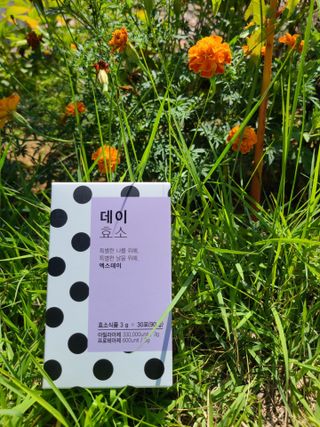 돼랑이님이 올린 리뷰 사진 1