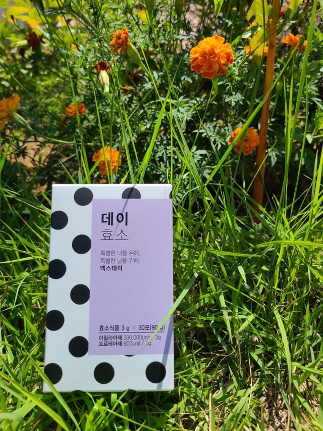 데이효소 리뷰 사진