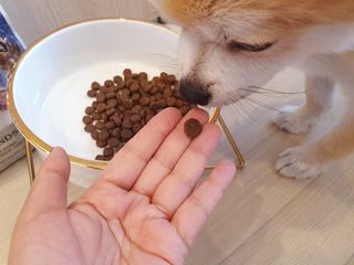 좋아님이 올린 리뷰 사진 3