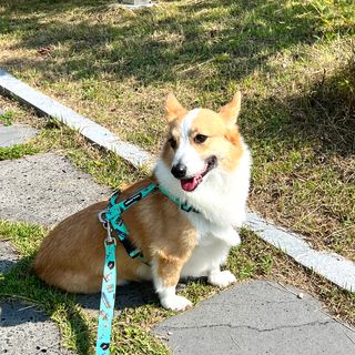 럽쏘이님이 올린 리뷰 사진 2