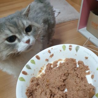 소이양님이 올린 리뷰 사진 1