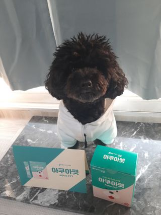 pie_chui님이 올린 리뷰 사진 1