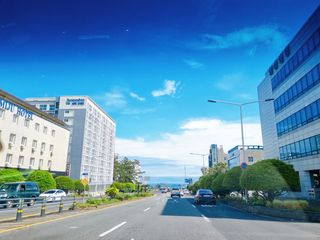 0.8L 마케팅팀 - — 5점을 준 리뷰어가 2021년 5월 올린 사용 사진