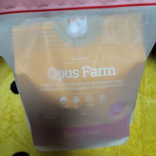 나초단맘님이 올린 리뷰 사진 3